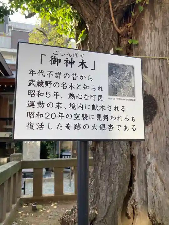 大鳥神社(東京都)