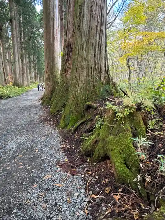 戸隠神社奥社(長野県)