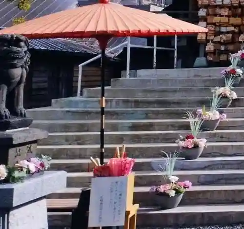 札幌諏訪神社の七五三参