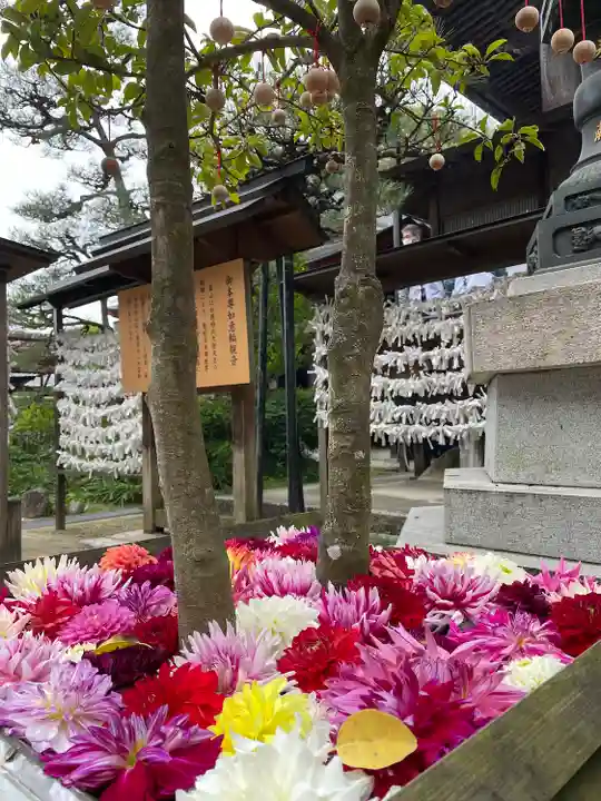 岡寺(龍蓋寺)のその他建物