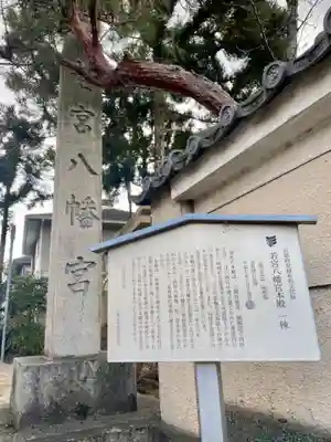 若宮八幡宮（佐古）(京都府)