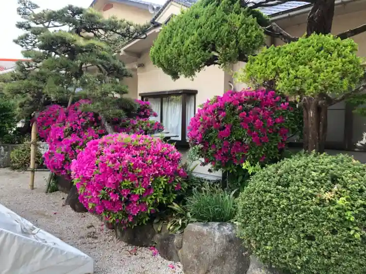 荒井神社の庭園
