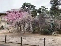 如意輪寺の庭園