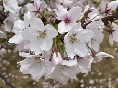 生田神社兵庫宮御旅所(兵庫県)