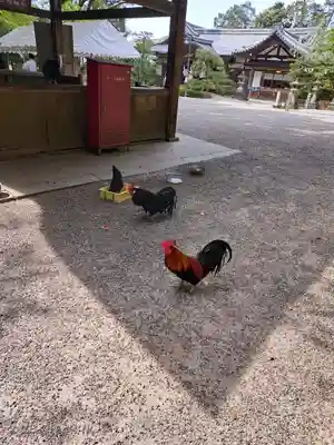 石上神宮(奈良県)