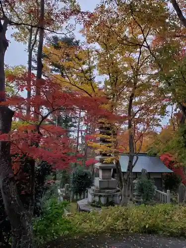 柳谷観音　楊谷寺のその他建物