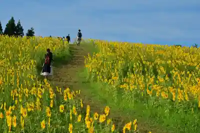 沢山神社（澤山神社)(新潟県)