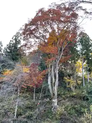 大湯薬師堂の自然