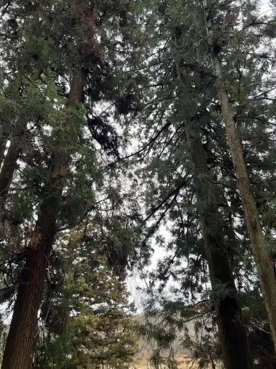 大宮温泉神社(栃木県)