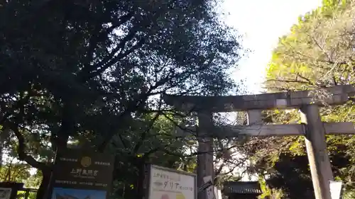上野東照宮の鳥居