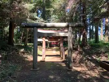 白幡神社の鳥居