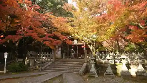 竹中稲荷神社（吉田神社末社）の自然