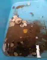 白狐山光星寺(山形県)