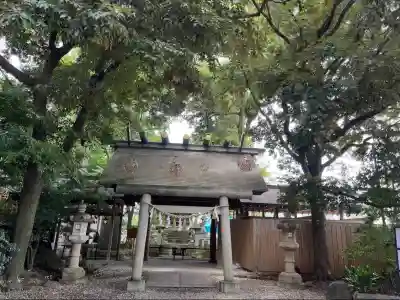 川越氷川神社(埼玉県)