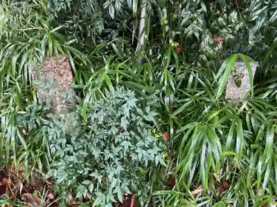 長隆寺のその他建物