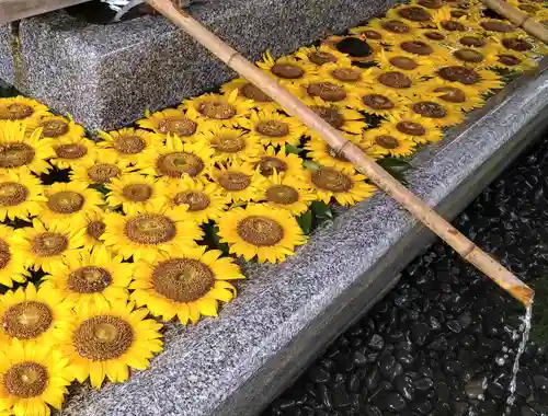 射水神社の手水舎