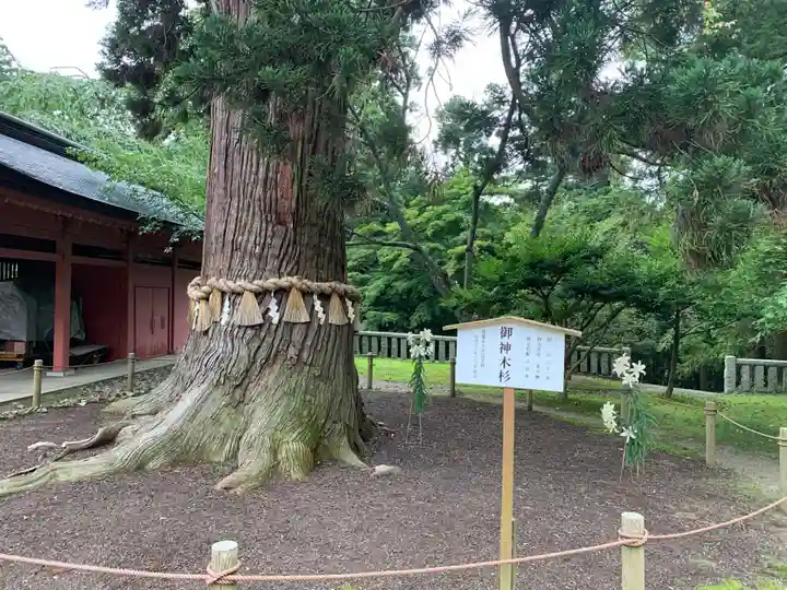 志波彦神社・鹽竈神社の自然