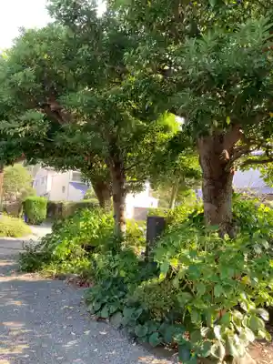 實相寺(実相寺)(神奈川県)
