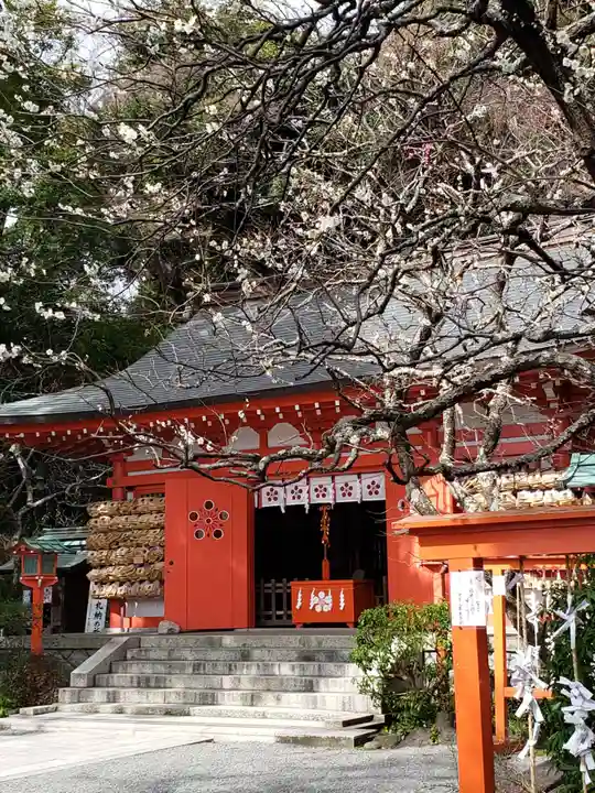 荏柄天神社の本殿・本堂