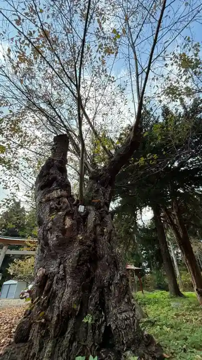 矢不来天満宮(北海道)