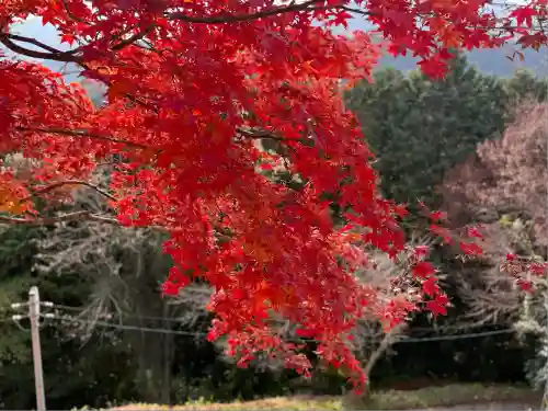 金刀比羅神社(岡山県)