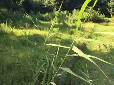 居多神社の周辺
