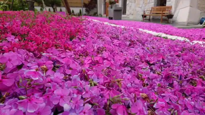 寿量山 速成寺の庭園