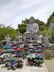 南法華寺（壷阪寺）(奈良県)