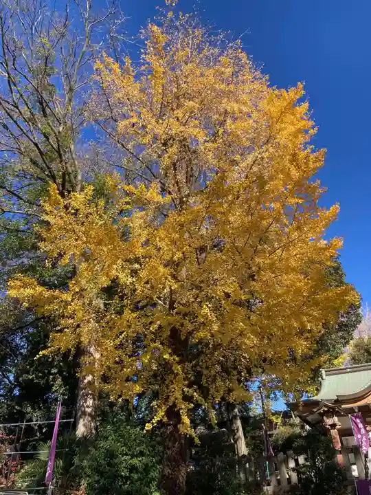 北澤八幡神社(東京都)