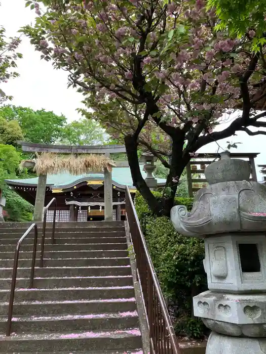 白幡八幡大神の鳥居