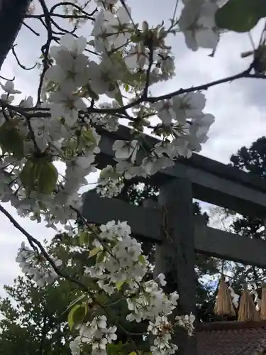 古谷館八幡神社(宮城県)