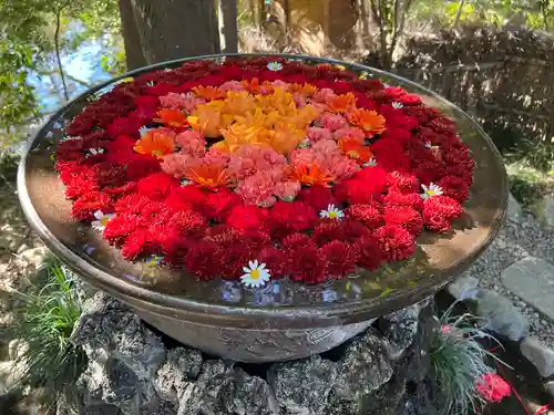 武蔵一宮氷川神社(埼玉県)