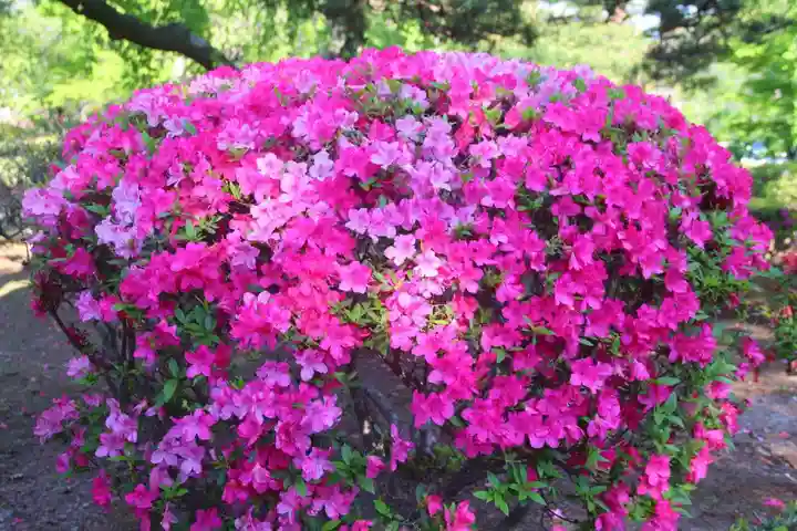 開成山大神宮の庭園
