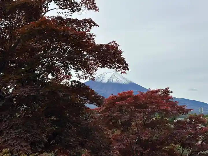 新倉富士浅間神社(山梨県)