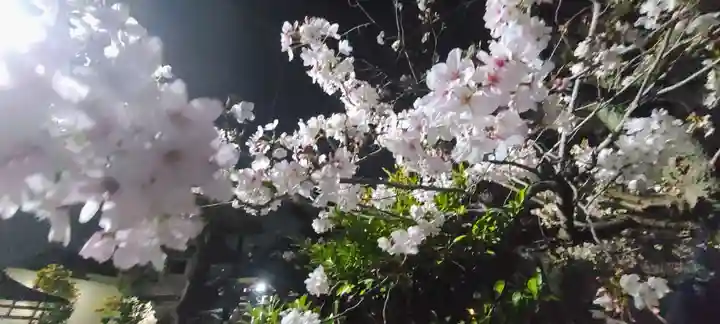 厄除の宮 駒林神社(兵庫県)