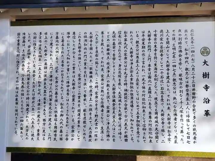 大樹寺(松安院大樹寺)の歴史