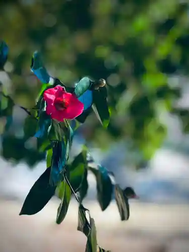 浄居寺(山梨県)