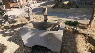 松應寺の手水舎