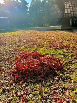 蚊里田八幡宮(長野県)