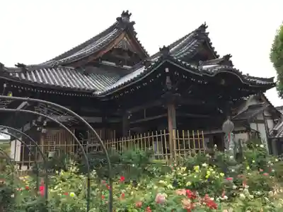 おふさ観音(観音寺)の本殿・本堂