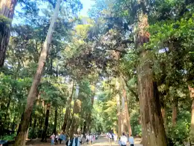 鹿島神宮(茨城県)