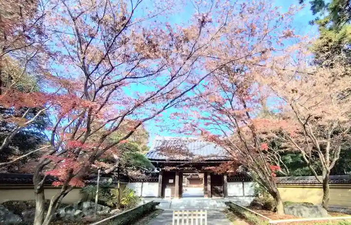 宝珠山 観泉寺(東京都)