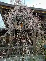 湯島天満宮(東京都)