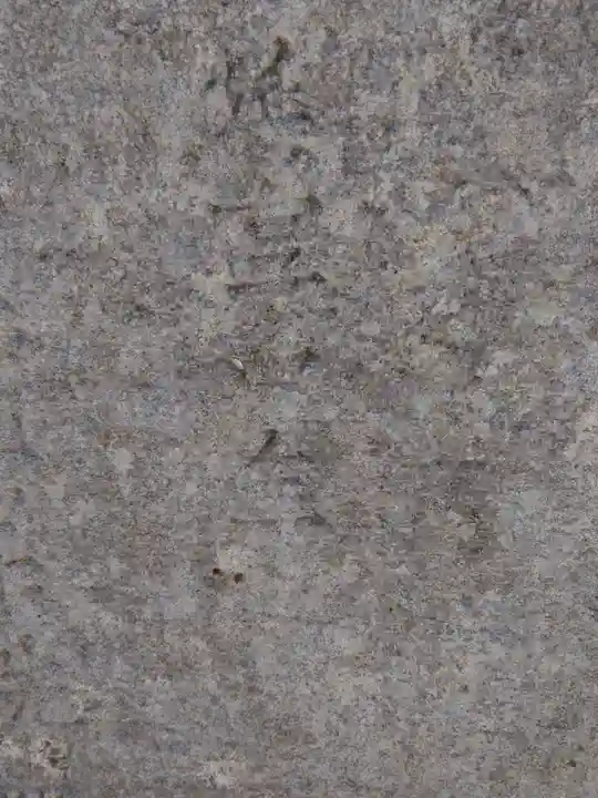 大生郷天満宮(茨城県)