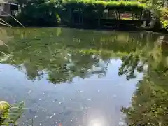 富士山本宮浅間大社の庭園