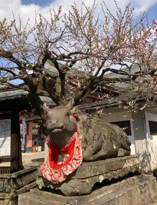 北野天満宮(京都府)