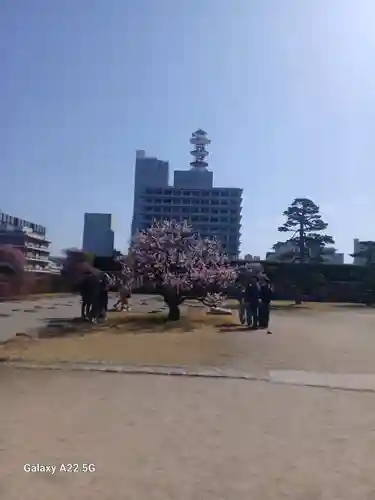 廣島護國神社(広島県)