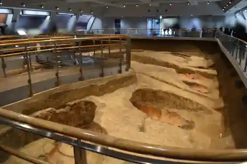 吉野ヶ里遺跡北墳丘墓の{uncategorized: "未分類", other: "その他", undefined: "問題あり", building: "その他建物", grave: "お墓", sacred_gate: "鳥居", guardian: "狛犬", statue: "像", buddha: "仏像", history: "歴史", nature: "自然", garden: "庭園", animal: "動物", pagoda: "塔", temizu: "手水舎", mountain_gate: "山門・神門", sanctuary: "本殿・本堂", subordinate: "末社・摂社", art: "芸術", scenery: "景色", jizo: "地蔵", ema: "絵馬", goshuin: "御朱印", omikuji: "おみくじ", items: "授与品その他", amulet: "お守り", goshuincho: "御朱印帳", eats: "食事", festival: "お祭り", votive_dance: "神楽", shichigosan: "七五三参", wedding: "結婚式", experience: "体験その他", initially: "初詣", around: "周辺", anti_infection: "感染症対策"}