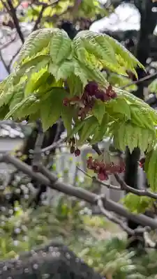 上宮王院聖徳寺(京都府)