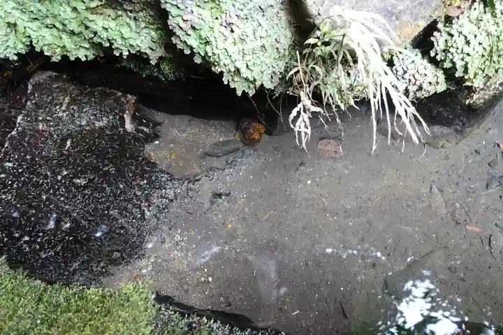 宇治上神社のその他建物